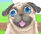 Pug a kutyus